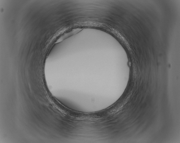 X0000086070625200704091236
