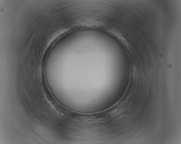 X0000086070626200704091236