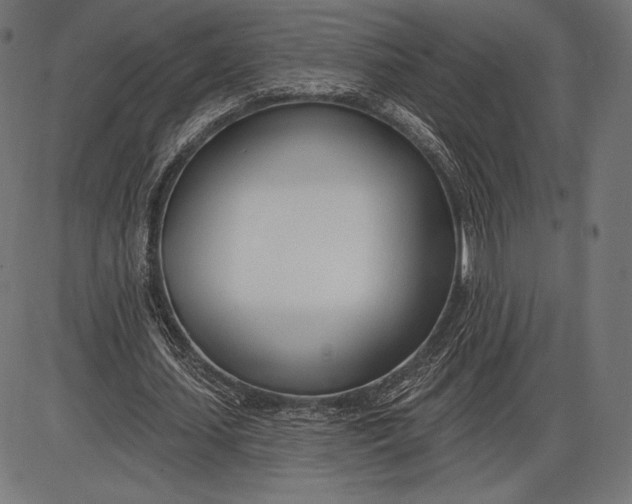X0000086070627200704091236