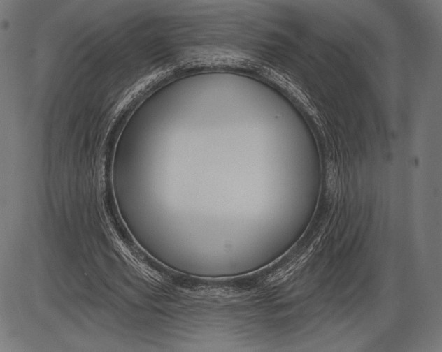 X0000086070629200704091236