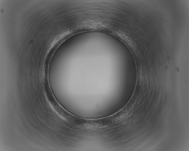 X0000086070630200704091236