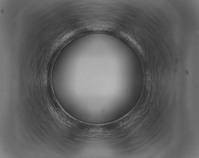 X0000086070631200704091236