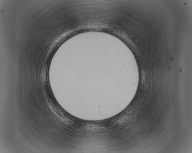 X0000086070632200704091236