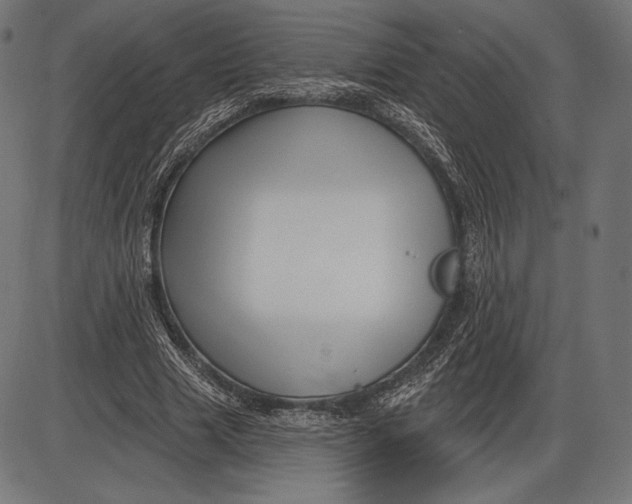X0000086070633200704091236