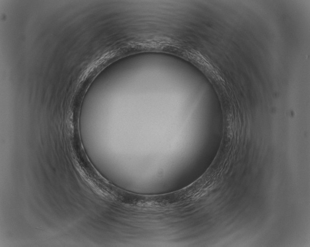 X0000086070634200704091236