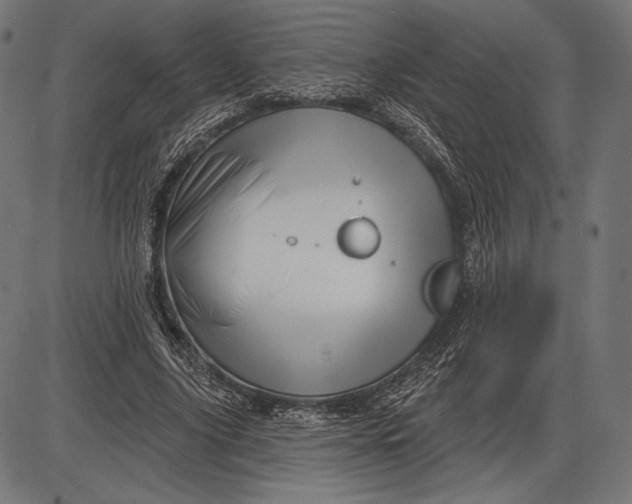 X0000086070635200704091236