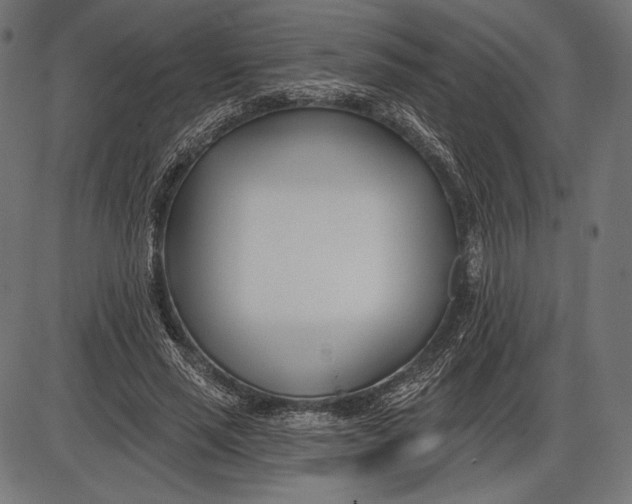 X0000086070637200704091236