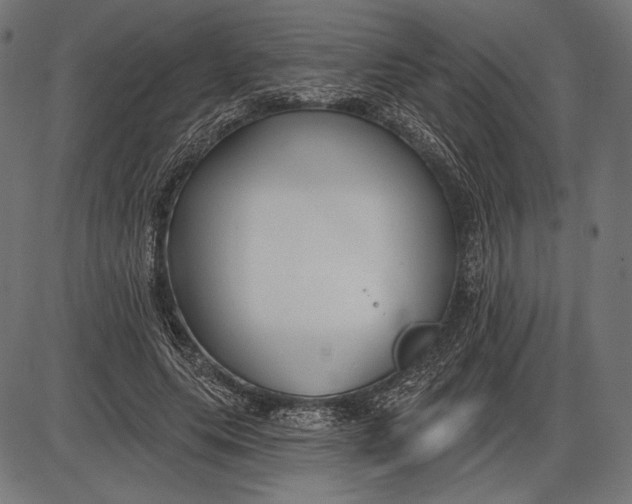 X0000086070639200704091236