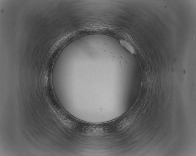 X0000086070640200704091236