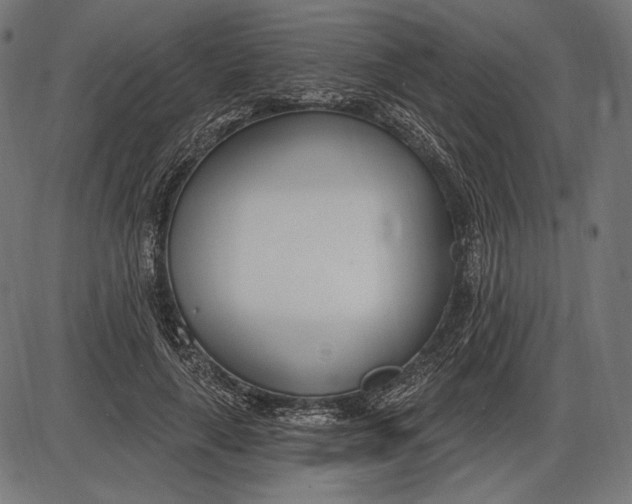 X0000086070643200704091236