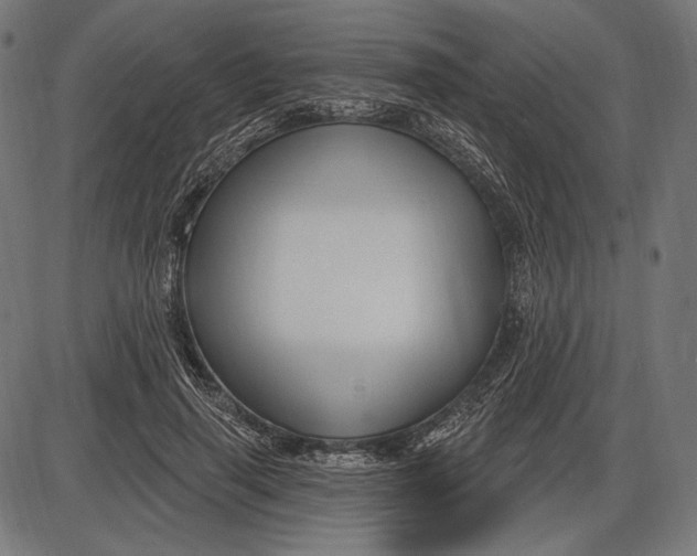 X0000086070645200704091236