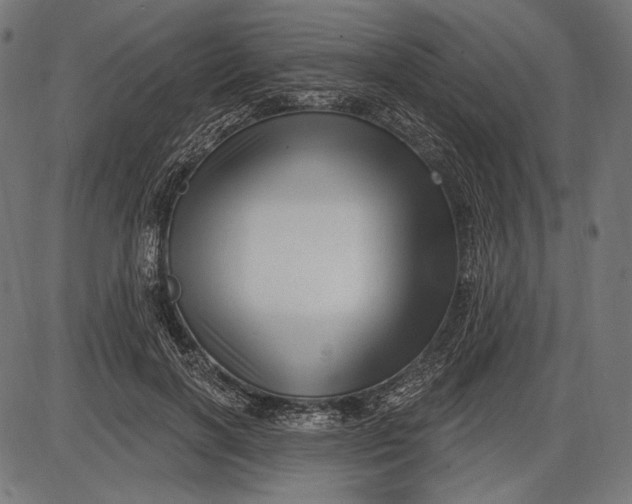 X0000086070646200704091236