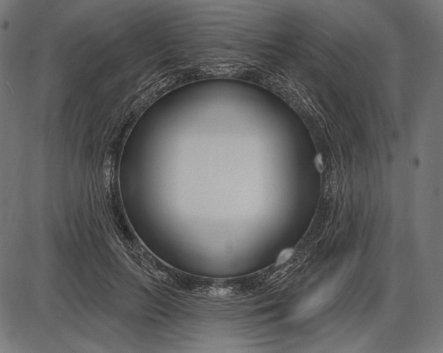 X0000086070647200704091236