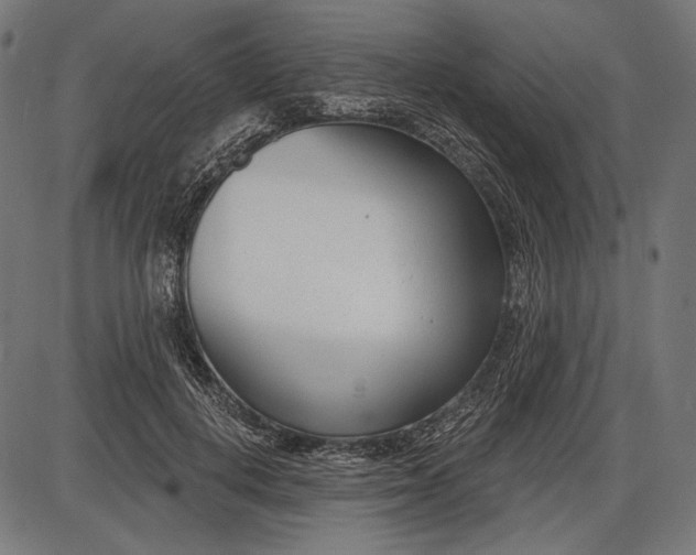 X0000086070648200704091236