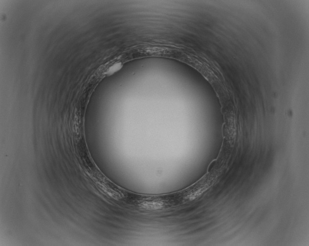 X0000086070653200704091236