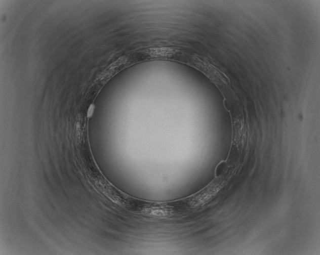 X0000086070655200704091236