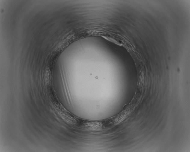 X0000086070659200704091237