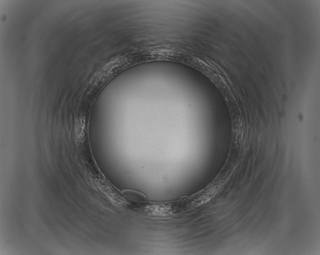X0000086070660200704091237
