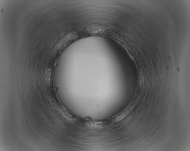 X0000086070664200704091237