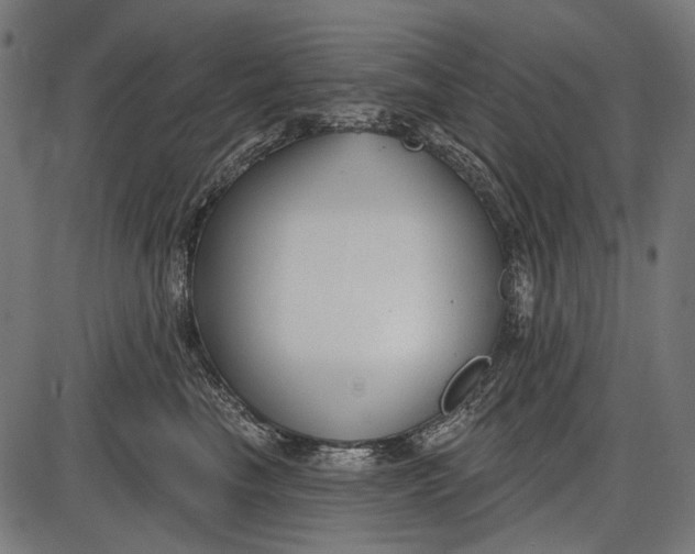X0000086070665200704091237