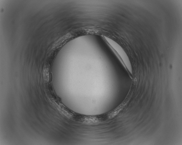 X0000086070666200704091237
