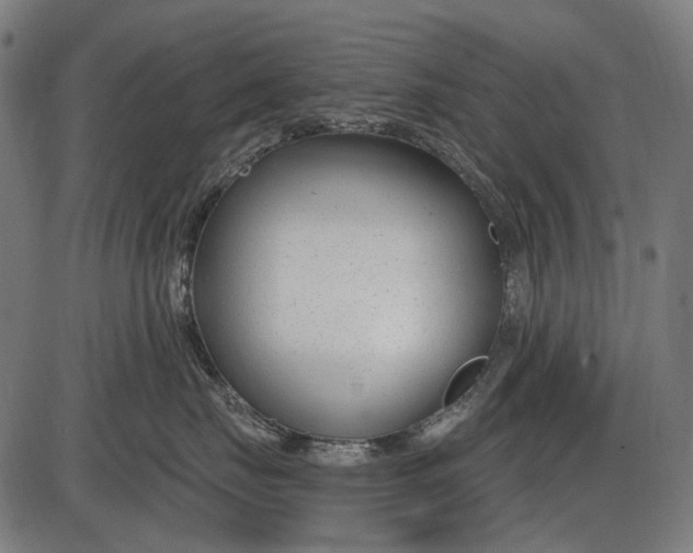 X0000086070671200704091237