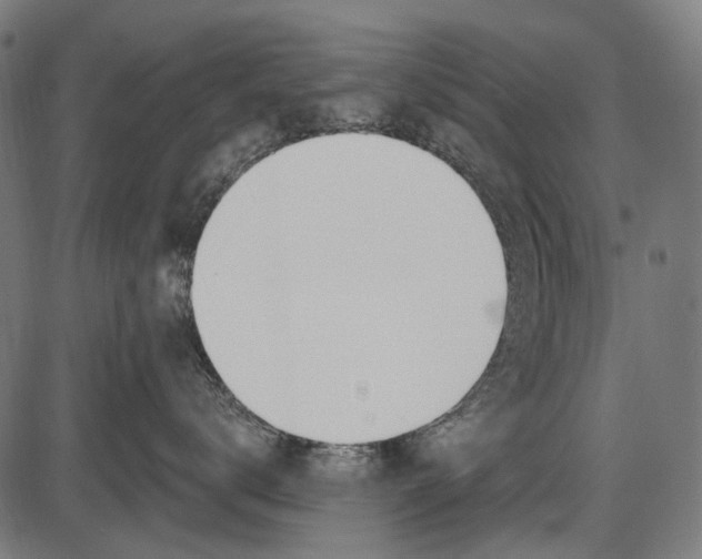 X0000086070672200704091237