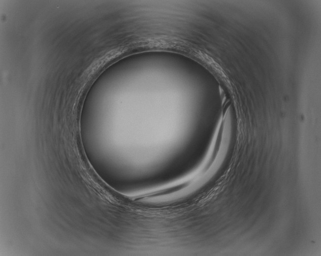 X0000086070673200704091236