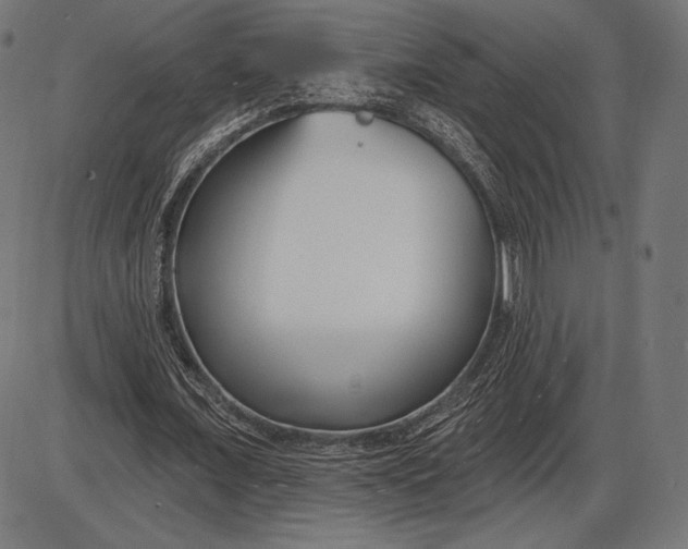 X0000086070675200704091236