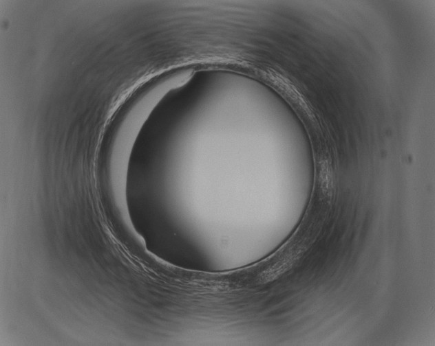 X0000086070676200704091236