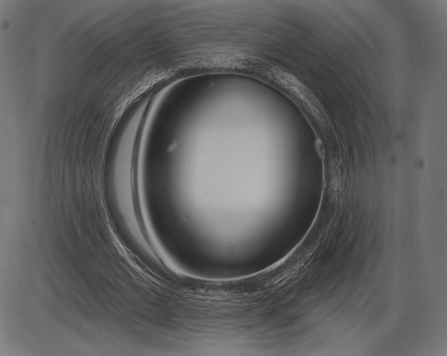 X0000086070677200704091236