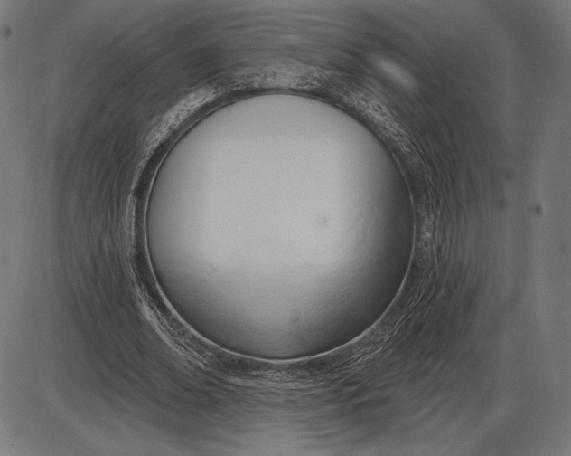 X0000086070678200704091236