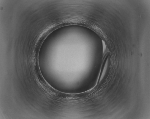 X0000086070680200704091236