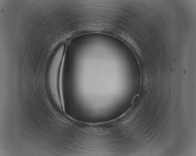 X0000086070681200704091236