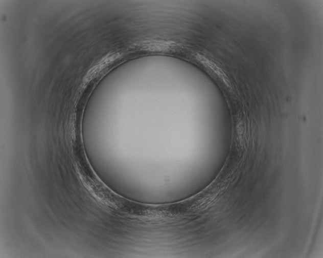 X0000086070682200704091236
