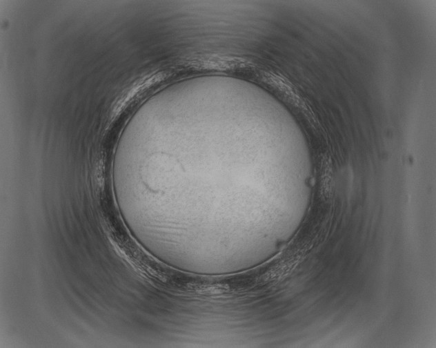 X0000086070683200704091236