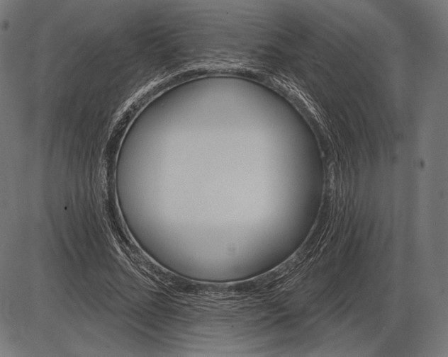 X0000086070684200704091236
