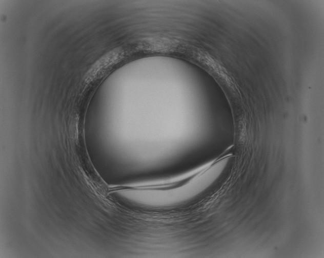 X0000086070685200704091236