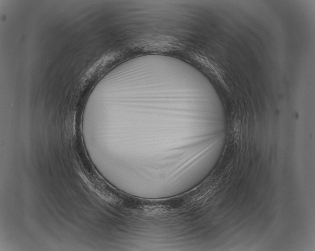 X0000086070686200704091236