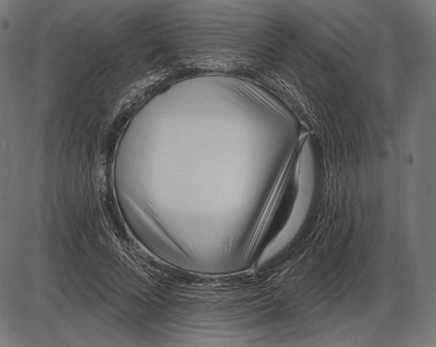 X0000086070688200704091236