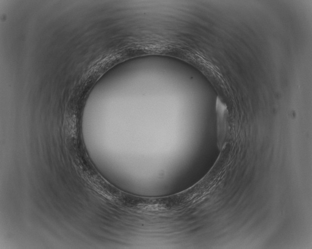 X0000086070689200704091236