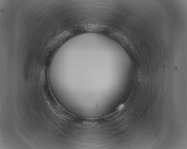 X0000086070690200704091236