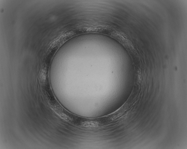 X0000086070691200704091236