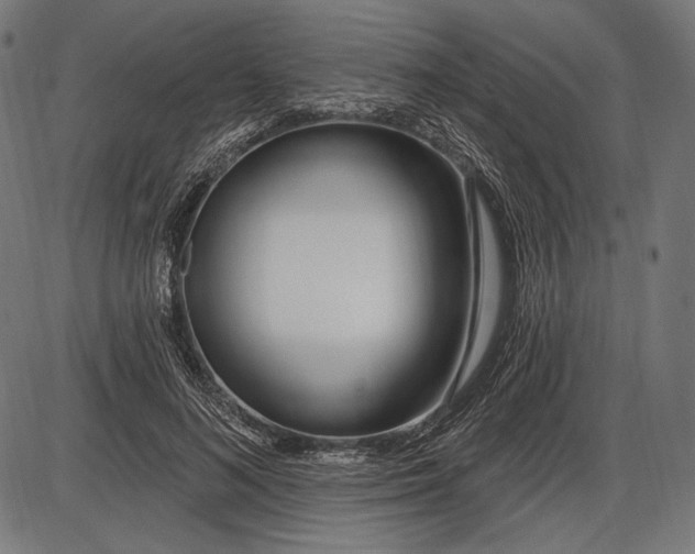 X0000086070692200704091236