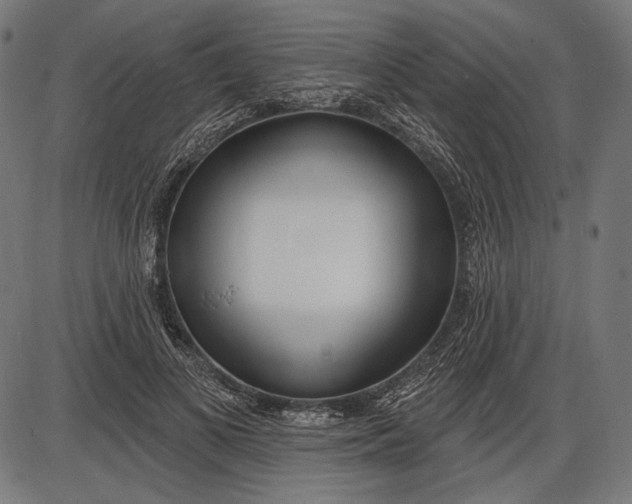 X0000086070693200704091236