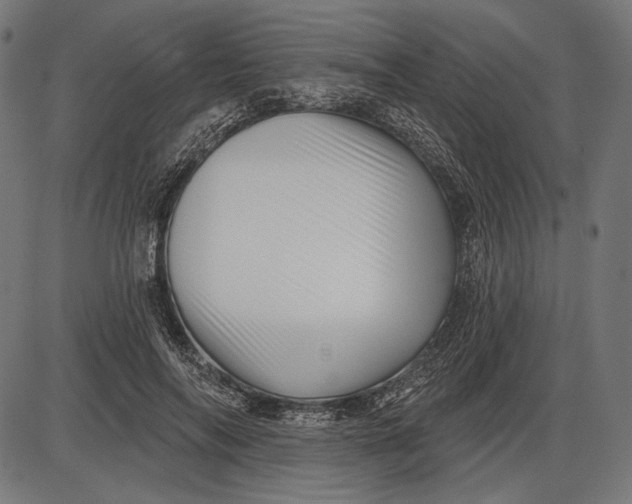 X0000086070694200704091236