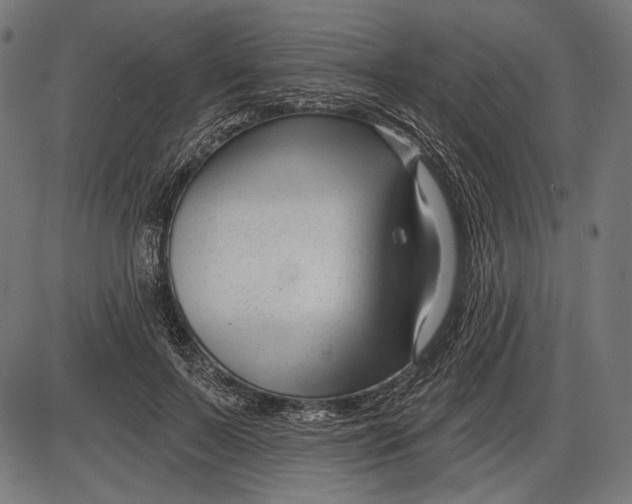 X0000086070695200704091236
