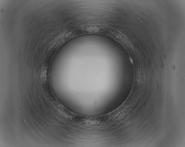 X0000086070697200704091236