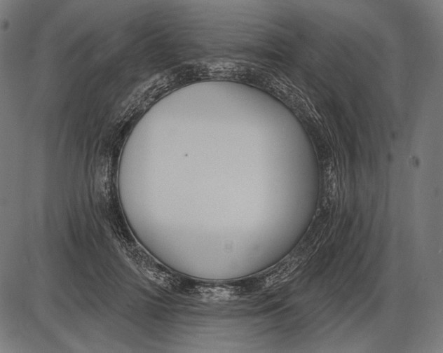 X0000086070698200704091235