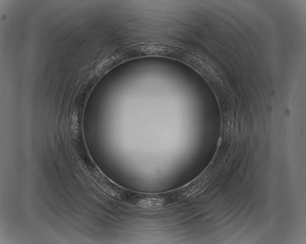X0000086070700200704091235